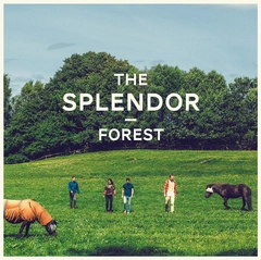 The Splendor Forest (LP)