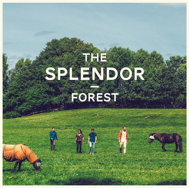 The Splendor Forest (LP) 