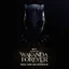 Soundtrack Black Panther: Wakanda Forever… (2LP)