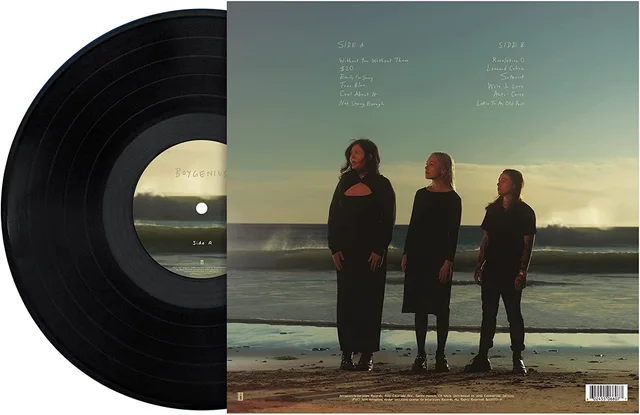 boygenius the record (LP) 