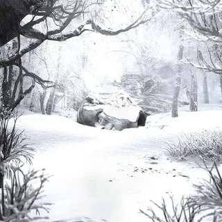 Weezer SNSZ: Winter (CD)