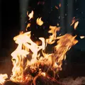 Fran Leaving - LTD (LP)