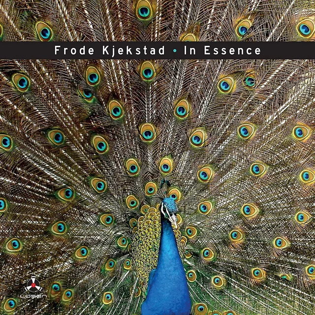 Frode Kjekstad In Essence (CD) 