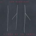Jan Garbarek I Took Up The Runes (LP)
