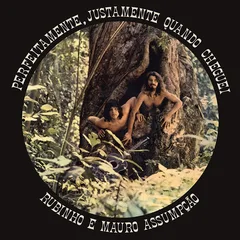 Rubinho E Mauro Assumpoao Perfeitamente, Justamente Quando… (LP)