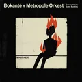 Bokanté + Metropole Orkest What Heat (LP)