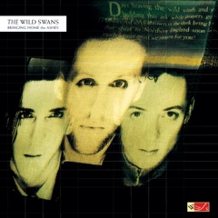 The Wild Swans Bringing Home The Ashes - LTD (LP)