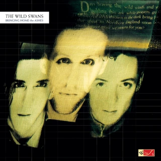 The Wild Swans Bringing Home The Ashes - LTD (LP)