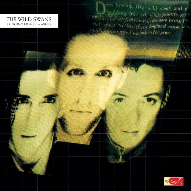 The Wild Swans Bringing Home The Ashes - LTD (LP) 