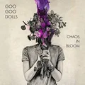 Goo Goo Dolls Chaos In Bloom (LP)
