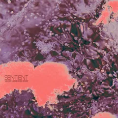 Vok Ens &amp; John Derek Bishop Sentient (CD)