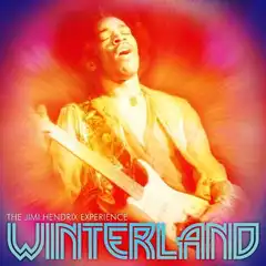 Jimi Hendrix Winterland (LP)