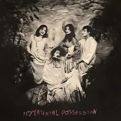 Immaterial Possession Immaterial Possession (LP)