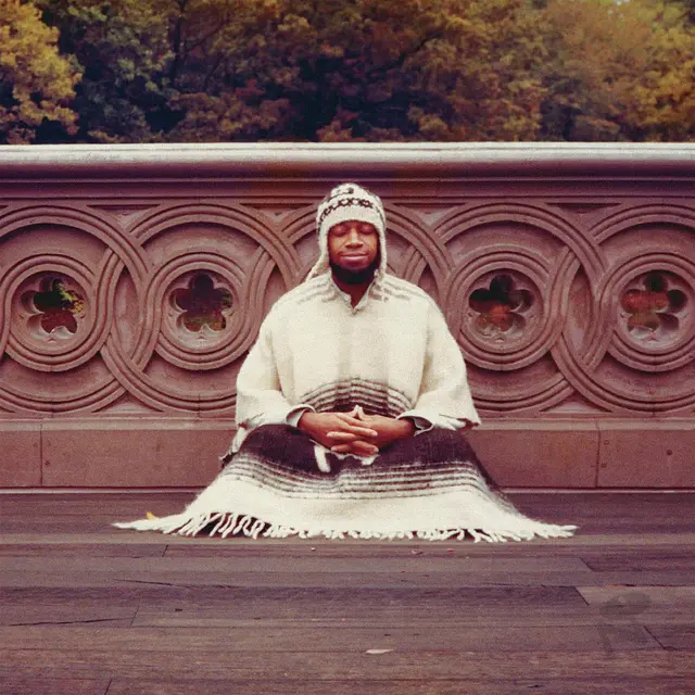 Laraaji Seque To Infinity - LTD (4LP) 