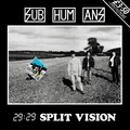Subhumans 29:29 Split Vision - LTD (LP)