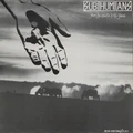 Subhumans From The Cradle To The Grave - LTD (LP)