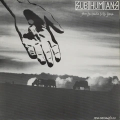 Subhumans From The Cradle To The Grave (LP)