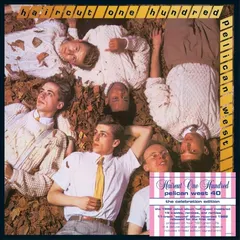 Haircut 100 Pelican West 40 - LTD (4LP)