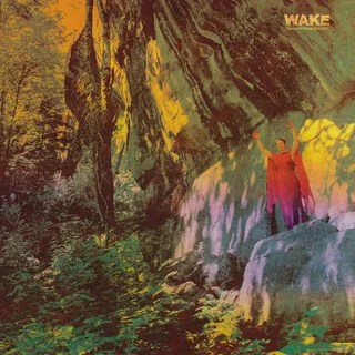 Wake Thought Form Descent - LTD (LP)