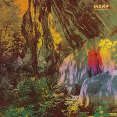 Wake Thought Form Descent - LTD (LP)