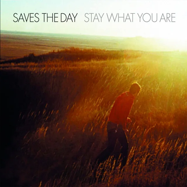 Saves The Day Stay What You Are - LTD (2 x 10") 