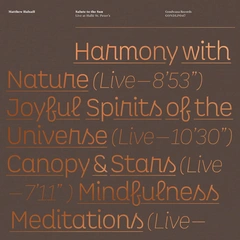 Matthew Halsall Salute To The Sun Live At… - LTD (2LP)