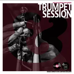 Diverse Artister Vinyl &amp; Media: Trumpet Session (LP)