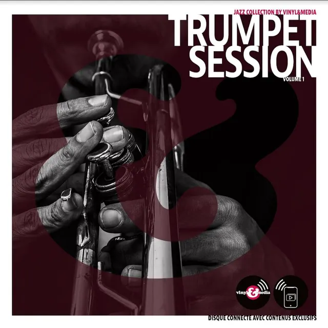 Diverse Artister Vinyl & Media: Trumpet Session (LP) 