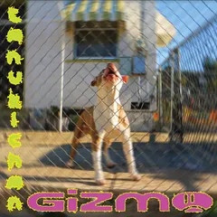 Tanukichan Gizmo (LP)