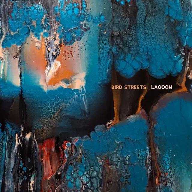 Bird Streets Lagoons (2LP) 