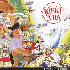 Øystein Sunde Kjekt Å Ha (LP)