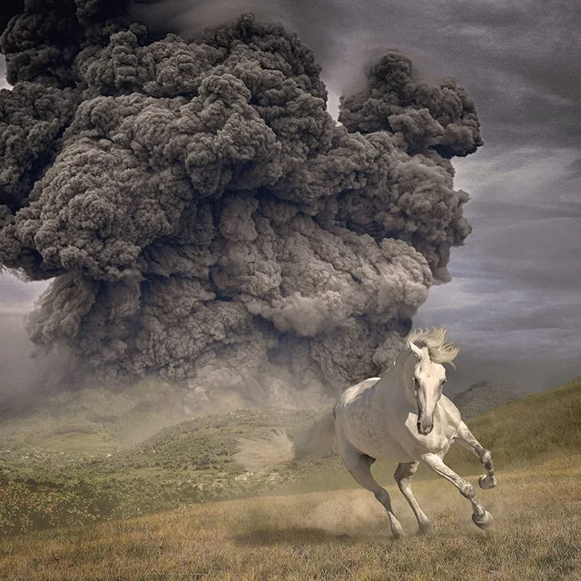The White Buffalo Year Of The Dark Horse (LP) 