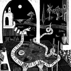 Pedro Vian Ibillorca (LP)