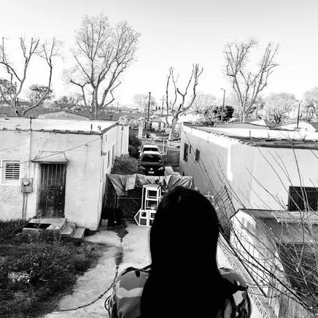Generacion Suicida Regeneracion (LP) 