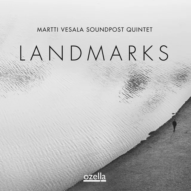 Martti Vesala Soundpost Quintet Landmarks (LP) 