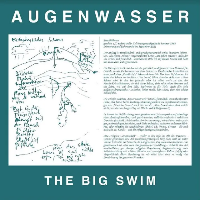 Augenwasser Big Swin (LP) 