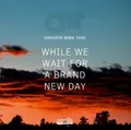 Oddgeir Berg Trio While We Wait For A Brand New Day (LP)
