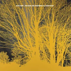 Nada Surf The Stars Are Indifferent To… (LP)