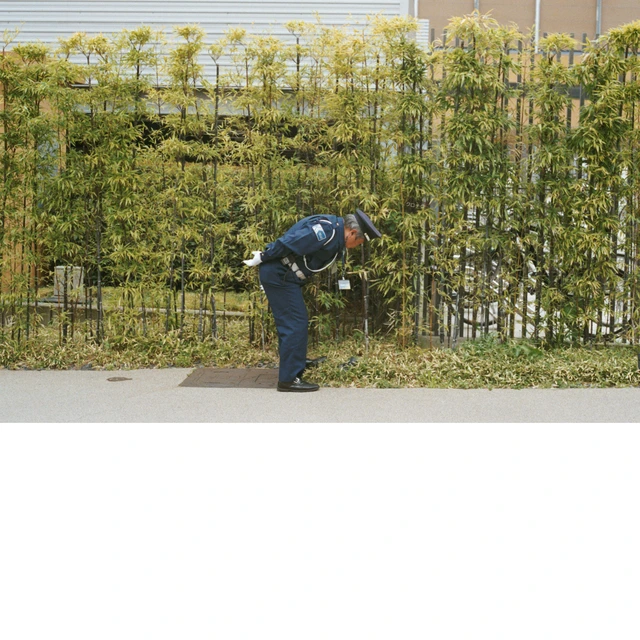 Gold Panda Good Luck And Do Your Best - LTD (LP) 