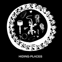 Hiding Places The Secret To Good Living - LTD (LP)