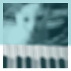 Peter Broderick Piano Works 1 (Floating In…) (CD)