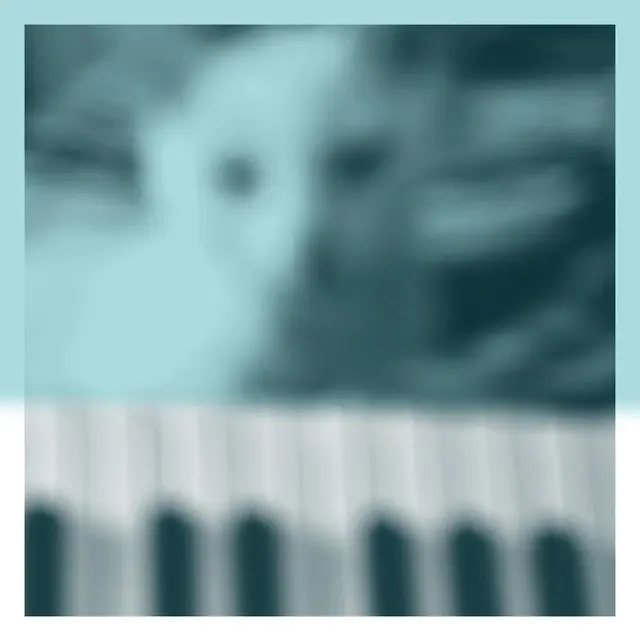 Peter Broderick Piano Works 1 (Floating In…) (CD) 