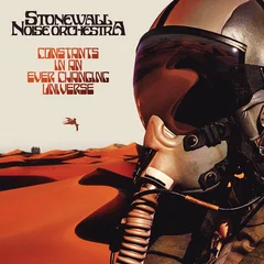 Stonewall Noise Orchestra Constants In An Ever Changing…- LTD (LP)