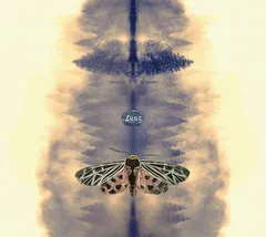 Hans-Joachim Roedelius/Tim Story Lunz - 20th Anniversary Edition (LP)