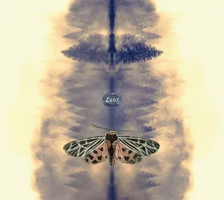 Hans-Joachim Roedelius/Tim Story Lunz - 20th Anniversary Edition (LP)