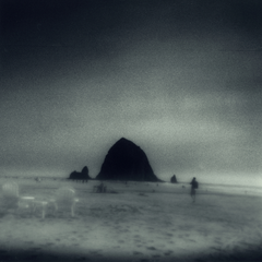 Drowse Wane Into It (LP)