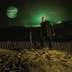 Dominique A. Le Monde Réel (LP)