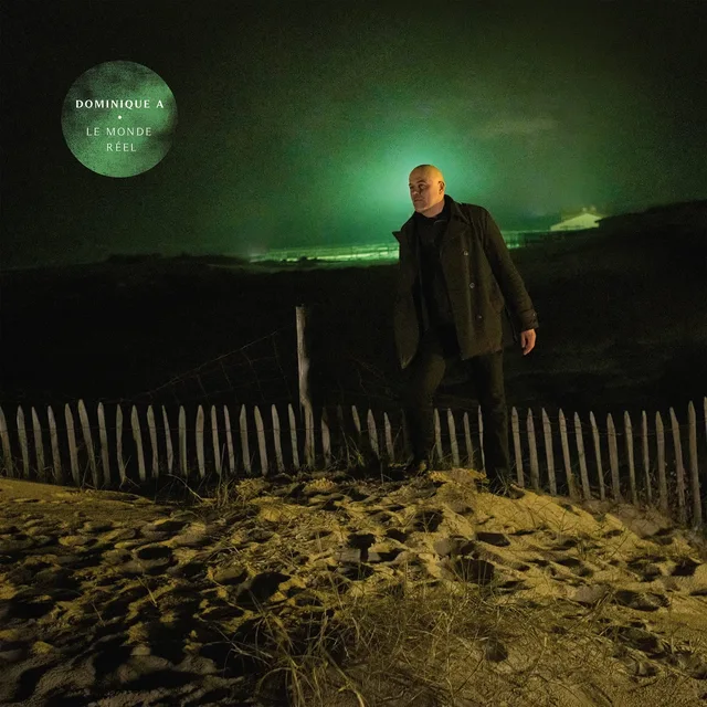 Dominique A. Le Monde Réel (LP) 