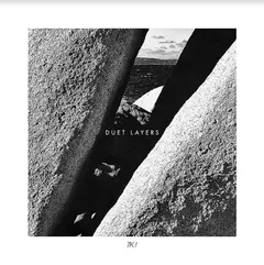Diverse Artister Duet Layers (LP)