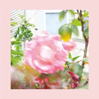 The Reds, Pinks And Purples Summer At Land's End (LP)